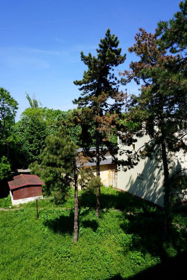 La Alina Daire Eforie Sud  Dış mekan fotoğraf